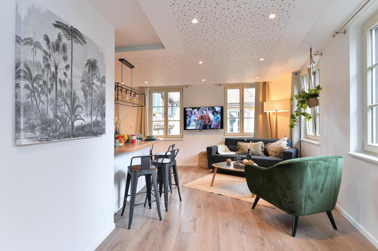 Le Splendide Du Centre Historique Avec Climatisation Apartment Colmar